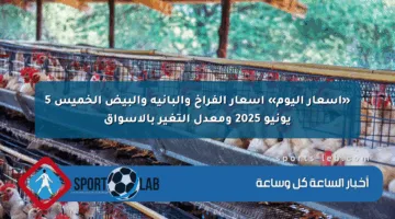 «أسعار اليوم» أسعار الفراخ والبانيه والبيض الخميس 5 يونيو 2025 ومعدل التغير بالأسواق
